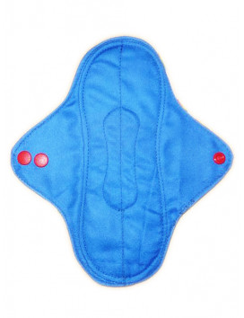 EIS waschbare Slipeinlage (22 cm)