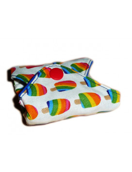 EIS waschbare Slipeinlage (22 cm)
