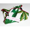 Washable sanitary napkin CANNABIS (S)