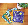 Large washable wipes (set of 5) THE PAINTERS