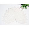 BLUMENGEBÄRMUTTER waschbares Interlabial Pad (15er Set) Größe : M-L
