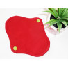 POKEMON forro panty lavable (17 cm)
