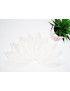 STRAWBERRIES washable interlabial pad (pack of 10) Size : L