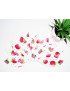 Pad interlabial lavable FRAISES (lot de 10) Taille : L