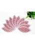 FANS waschbares Interlabial Pad (10er Set) Größe : L