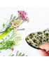 Protège-slip lavable sans ailettes OLIVES (19 cm)
