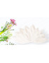 PAPAVER wasbare interlabiale pad (set van 9) Maat : M-L