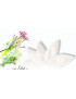 DAFFODILS washable interlabial pad (pack of 5) Size : S-M-L