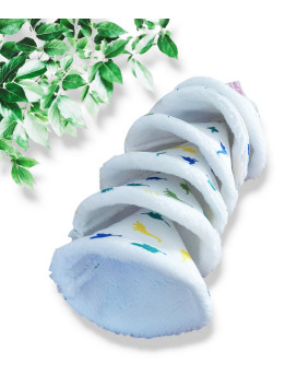 6 pee pee / STOP pee cones DINOSAURS