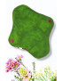 Pack 7 serviettes hygiéniques lavables - FLEURS DES CHAMPS (M)