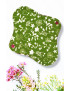 Pack 7 serviettes hygiéniques lavables - FLEURS DES CHAMPS (M)