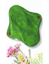 Pack de 7 compresas lavables - FLORES SILVESTRES (S)
