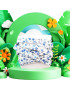 Paire de lacets en tissu - BLEUETS