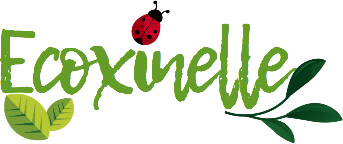 Ecoxinelle